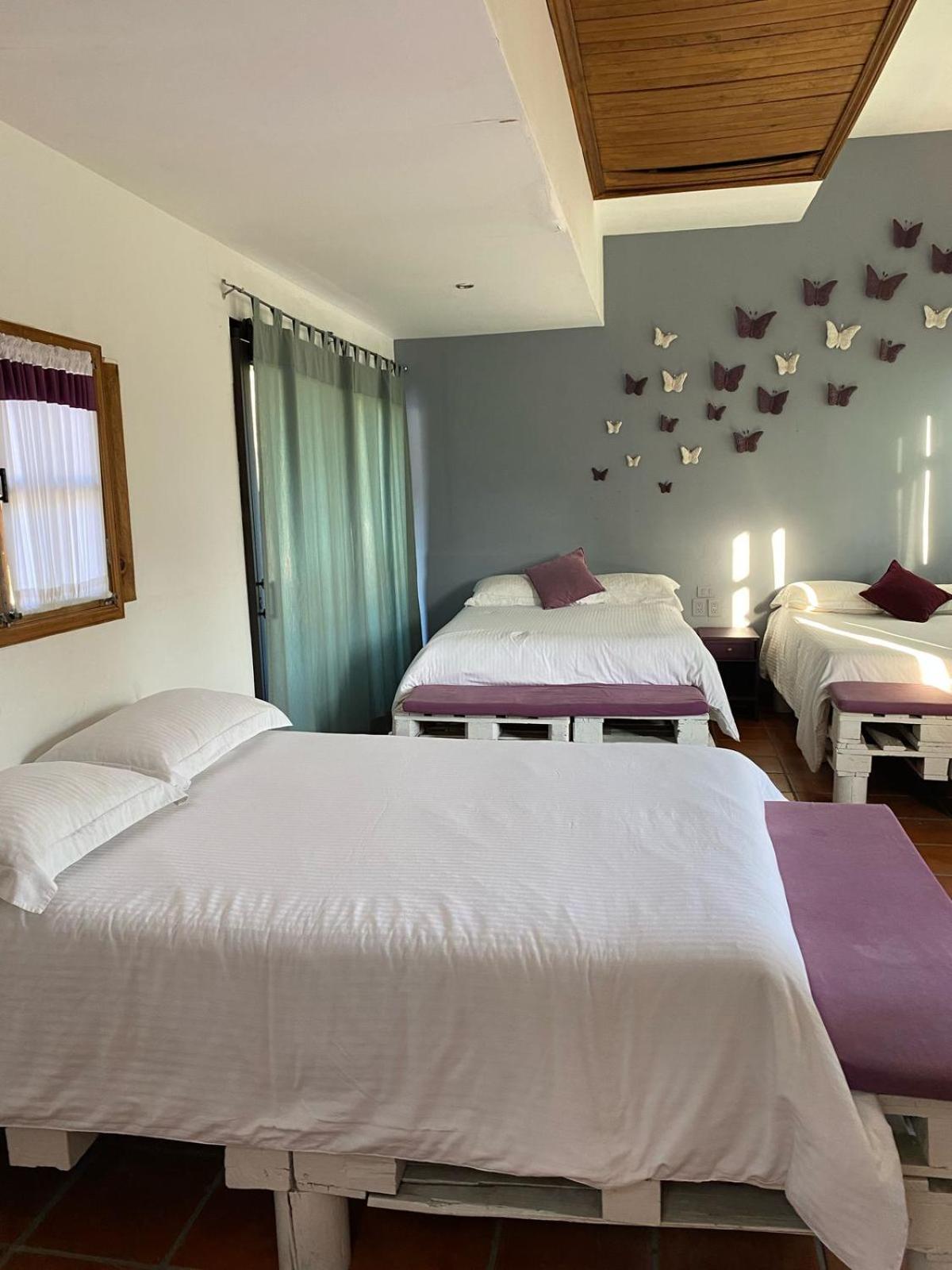 Posada Ali Tepoztlán Zewnętrze zdjęcie